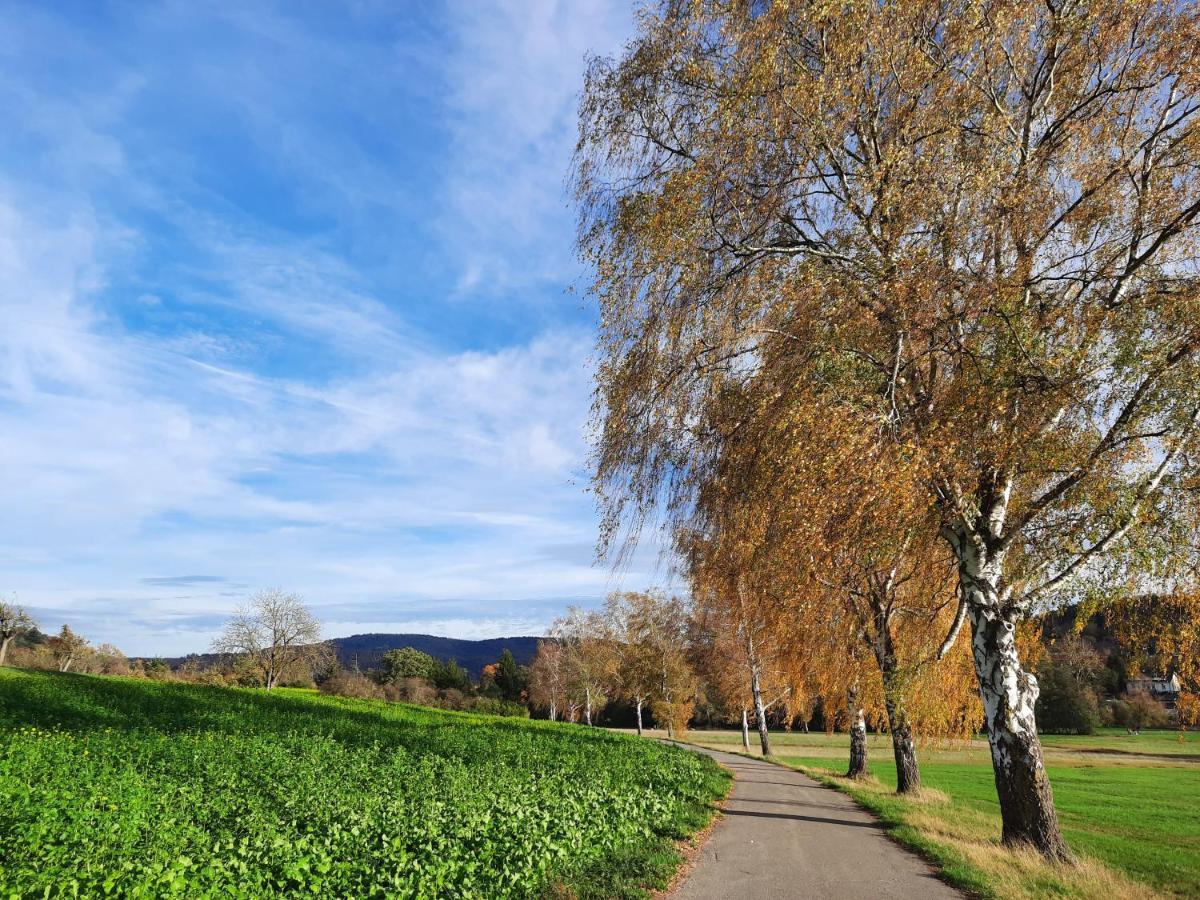 Ferienwohnung Odenwaldflair Reichelsheim Kültér fotó