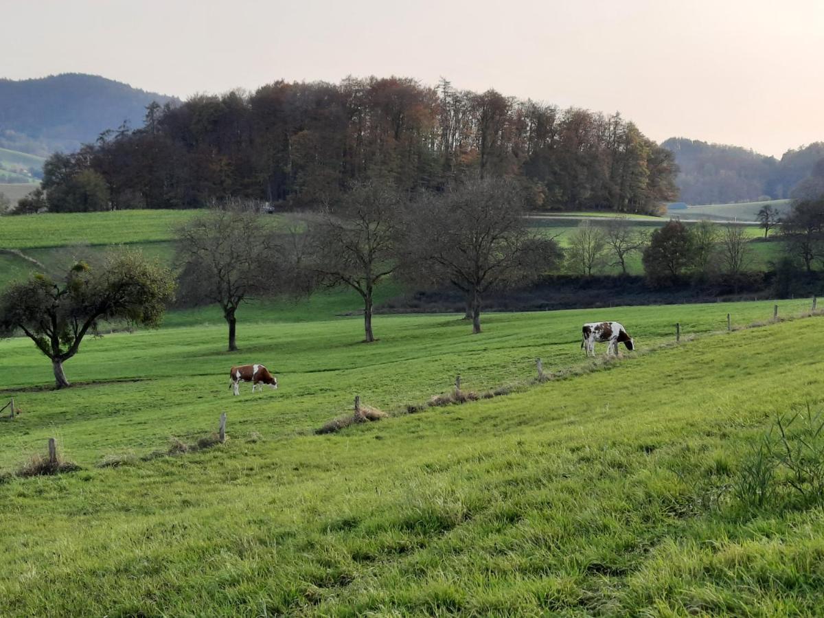 Ferienwohnung Odenwaldflair Reichelsheim Kültér fotó